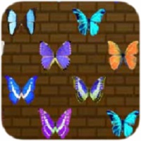 Silêncio ou Sombra Descubra qual roguelike combina com você