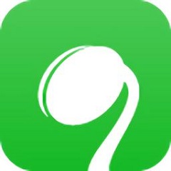 Vale a pena Análise de Cidadela Ancestral para Nintendo Switch